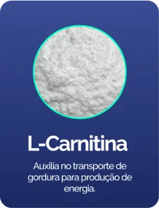 l-cartinina-1.png